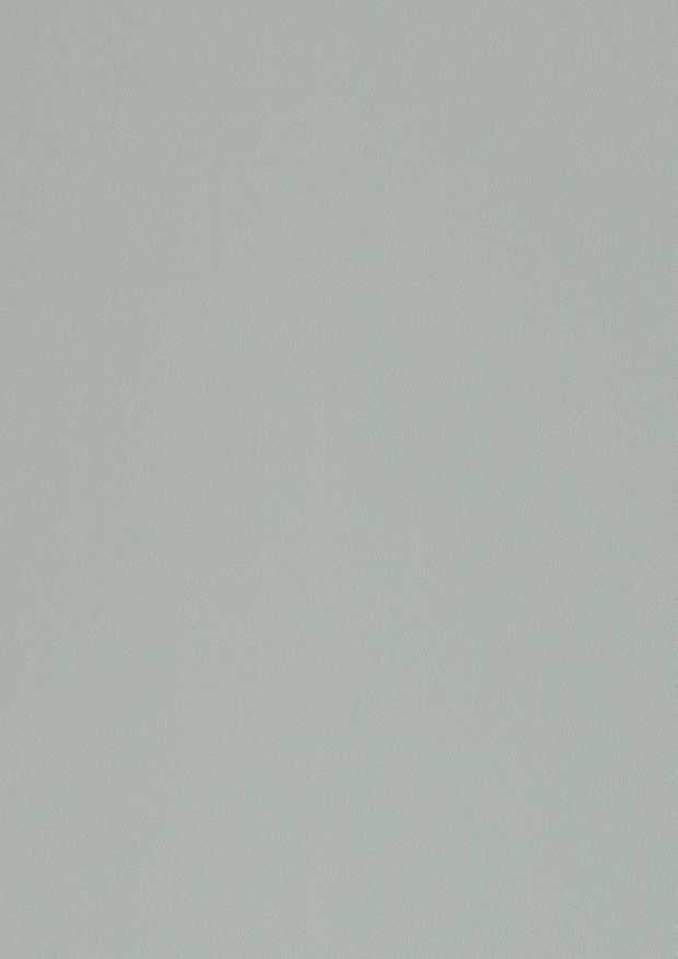GRIGIO CHIARO MATT